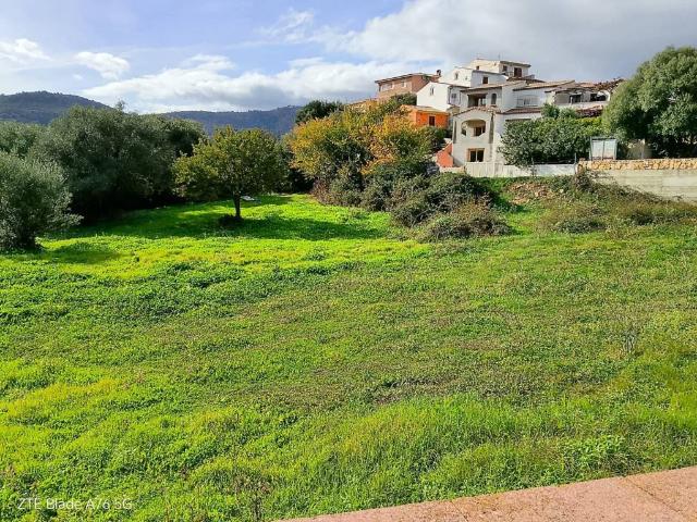 Terreno in vendita a Budoni SS