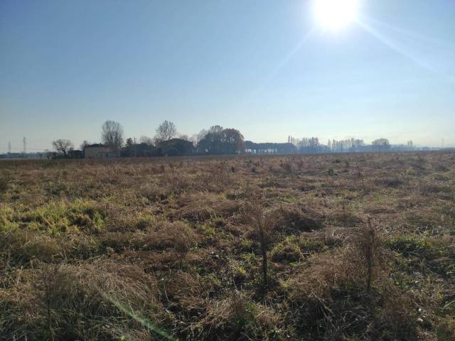 Terreno in vendita a Budrio BO