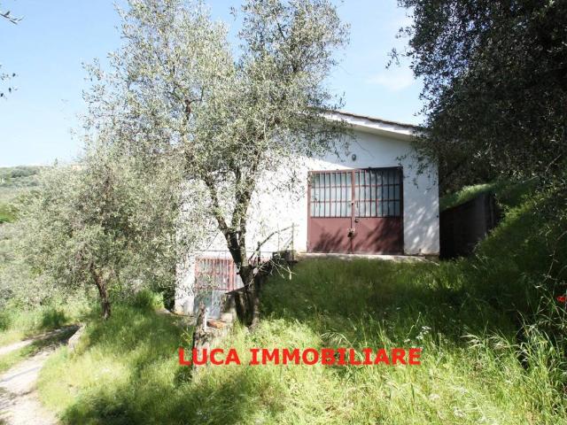 Terreno in vendita a Buggiano PT