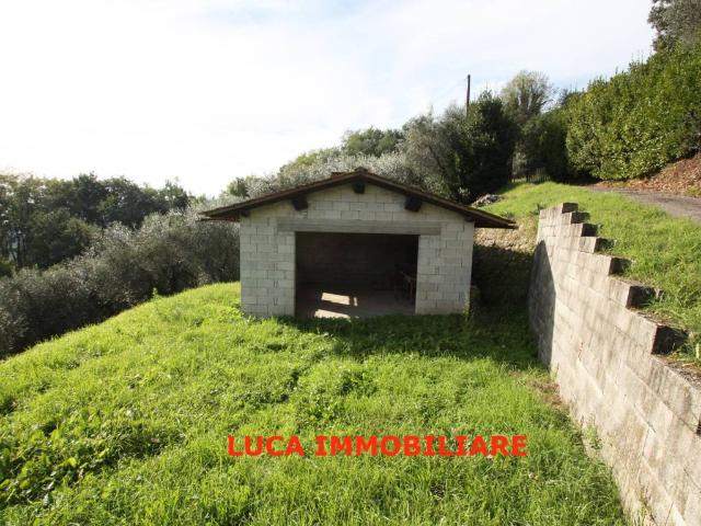 Terreno in vendita a Buggiano PT