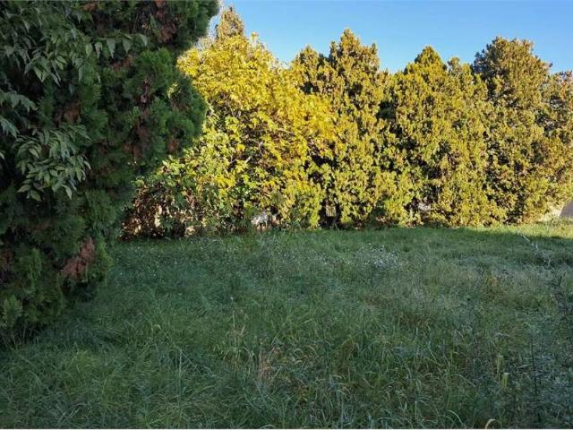 Terreno in vendita a Busto Garolfo MI