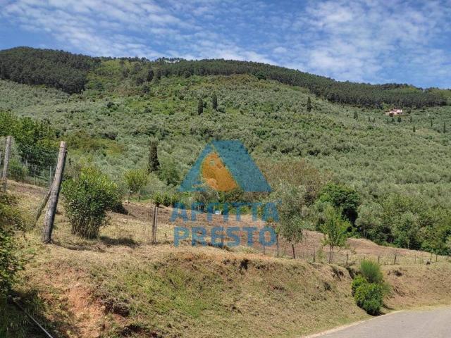 Terreno in vendita a Buti PI