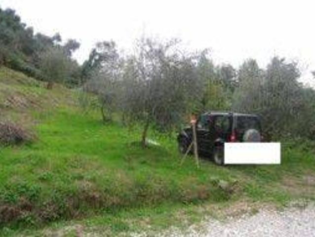 Terreno in vendita a Camaiore LU