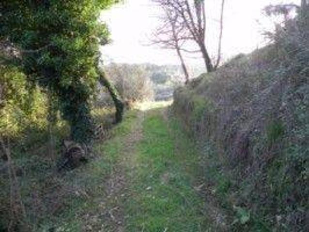 Terreno in vendita a Camaiore LU