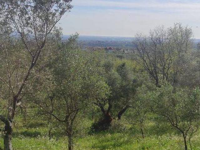 Terreno in vendita a Campagna SA