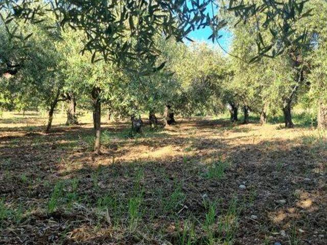 Terreno in vendita a Campagna SA