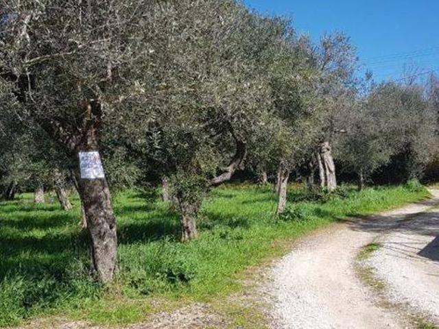 Terreno in vendita a Campagna SA