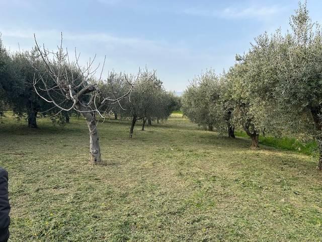 Terreno in vendita a Campagna SA