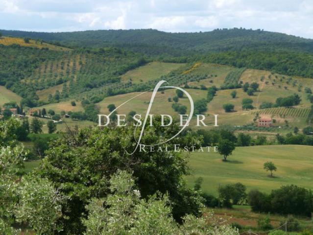 Terreno in vendita a Campagnatico