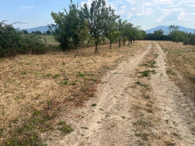 Terreno in vendita a Campi Bisenzio FI