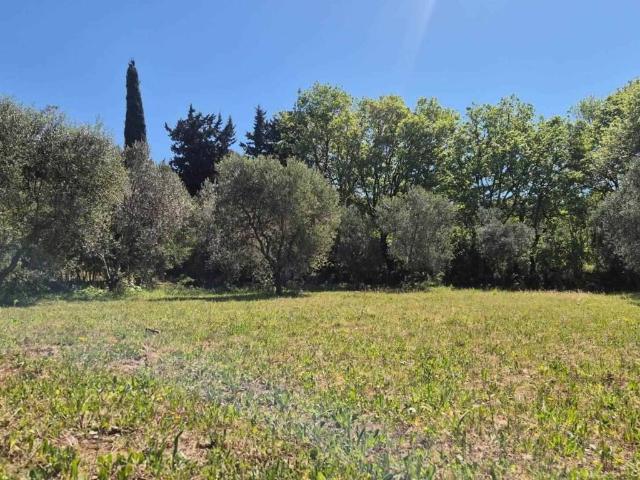 Terreno in vendita a Campiglia Marittima LI