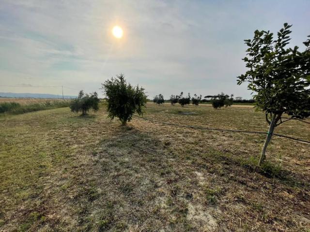 Terreno in vendita a Campiglia Marittima LI