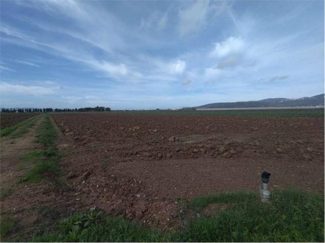 Terreno in vendita a Campiglia Marittima LI