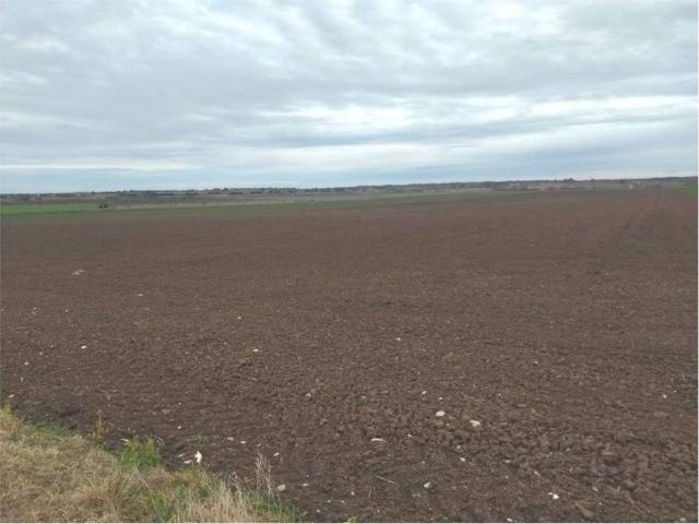 Terreno in vendita a Campomarino CB