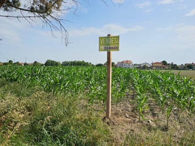 Terreno in vendita a Camponogara VE