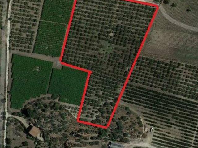 Terreno in vendita a Campobello di Licata AG