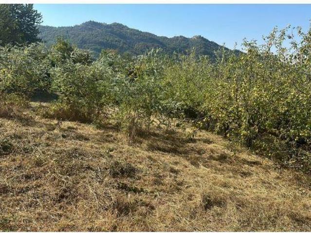 Terreno in vendita a Campobello di Licata AG