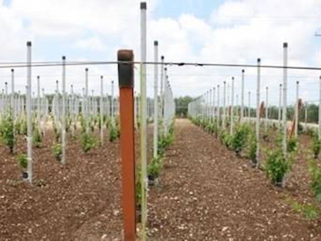 Terreno in vendita a Campobello di Licata AG