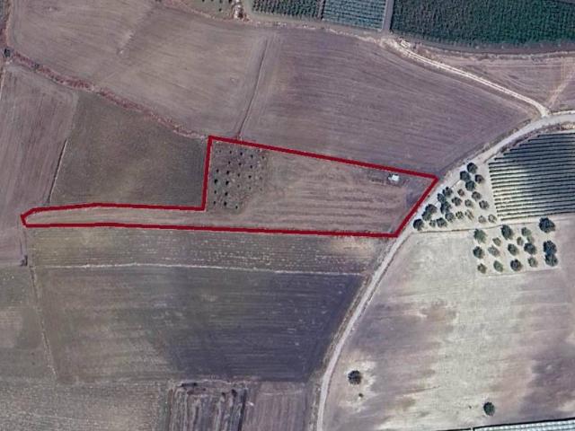 Terreno in vendita a Campobello di Licata AG