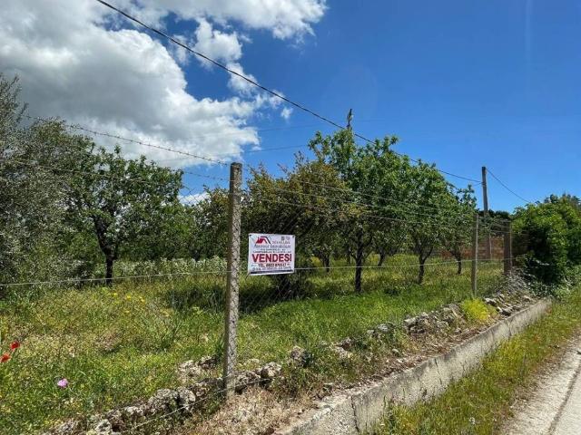Terreno in vendita a Campobello di Licata AG