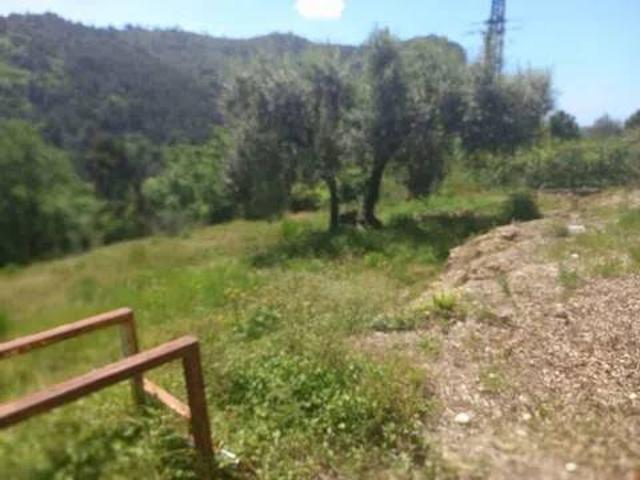 Terreno in vendita a Camporosso IM