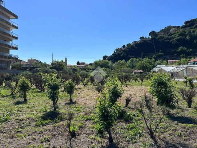 Terreno in vendita a Camporosso IM