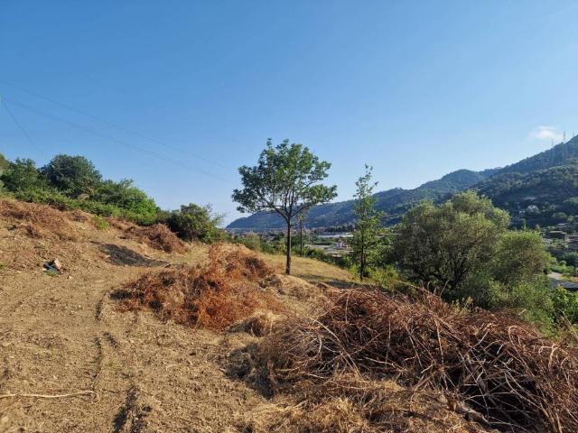 Terreno in vendita a Camporosso IM