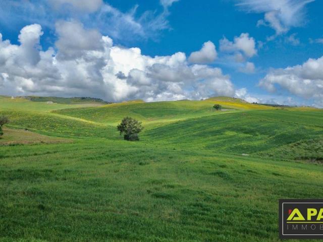 Terreno in vendita a Canicattì AG