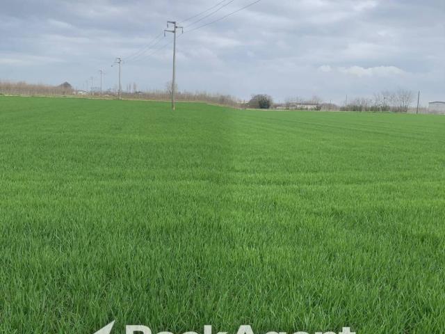 Terreno in vendita a Canneto sull'Oglio MN