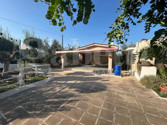 Terreno in vendita a Canosa di Puglia BT