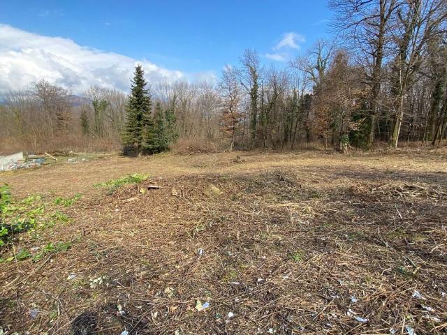 Terreno in vendita a Cadegliano Viconago VA