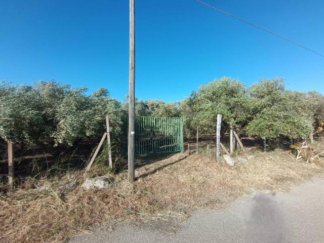 Terreno in vendita a Caltanissetta CL