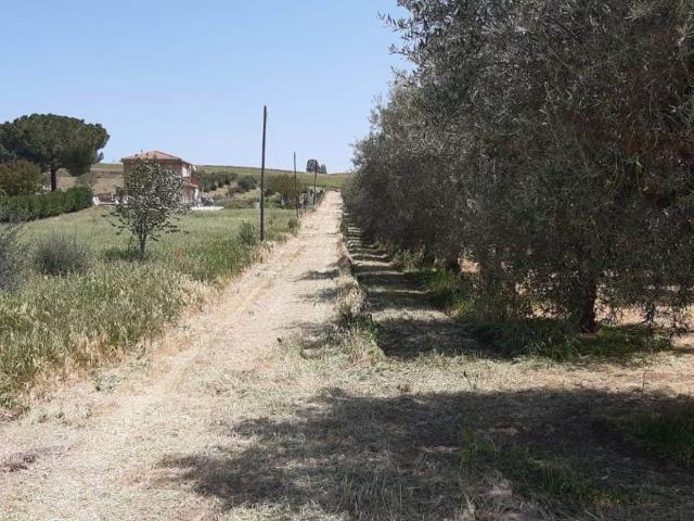 Terreno in vendita a Caltanissetta CL