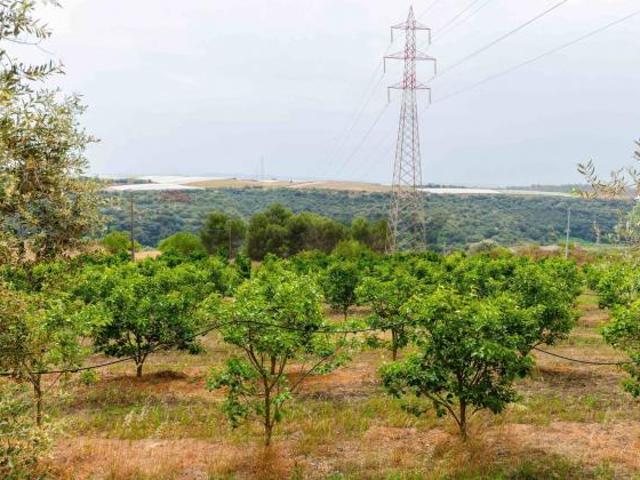 Terreno in vendita a Caltagirone