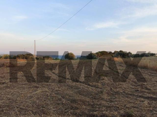 Terreno in vendita a Caltagirone CT