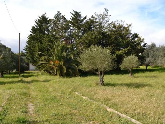 Terreno in vendita a Caltagirone CT
