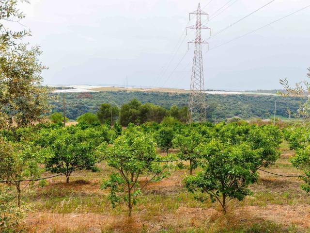 Terreno in vendita a Caltagirone CT