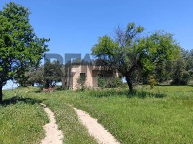 Terreno in vendita a Caltagirone, Santo Pietro
