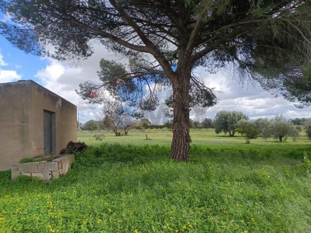 Terreno in vendita a Caltagirone, Santo Pietro