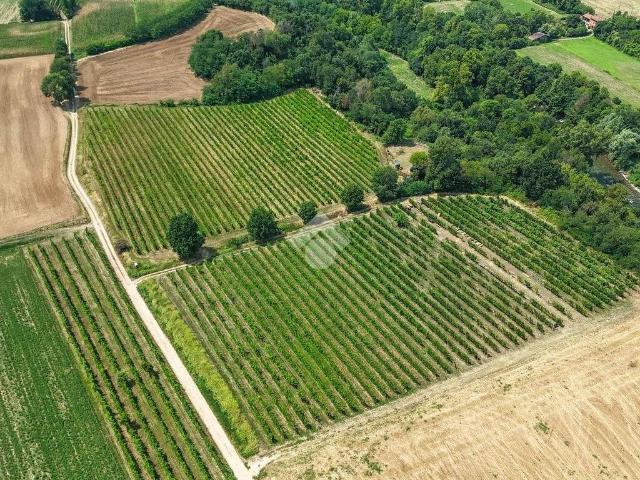 Terreno in vendita a Calvagese della Riviera BS