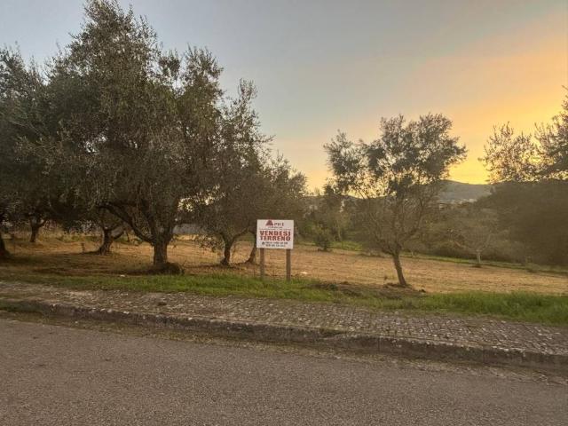 Terreno in vendita a Calvi BN
