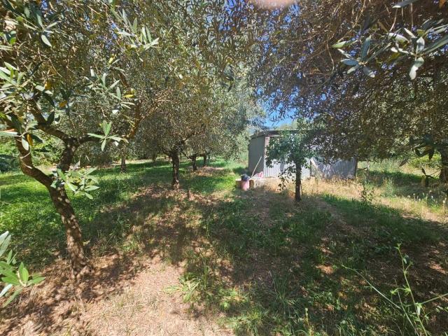 Terreno in vendita a Calvi Risorta CE