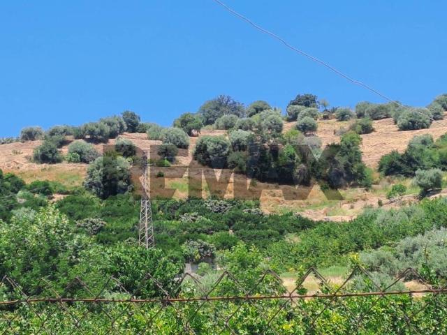 Terreno in vendita a Calatabiano CT