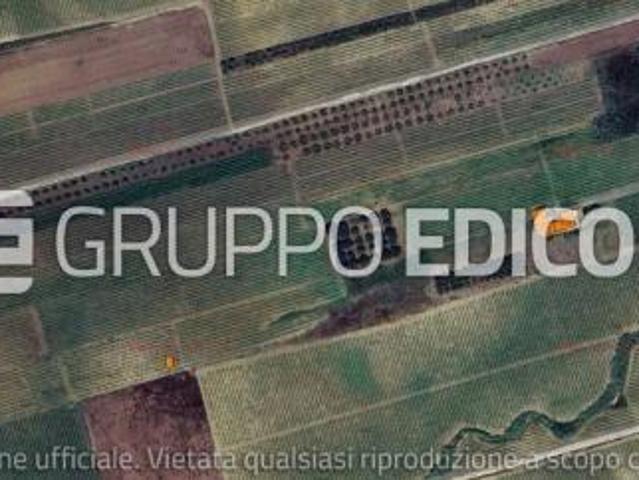 Terreno in vendita a Calatafimi Segesta Rif. 4548949