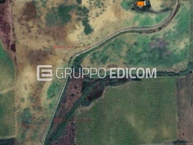 Terreno in vendita a Calatafimi Segesta Rif. 4548952