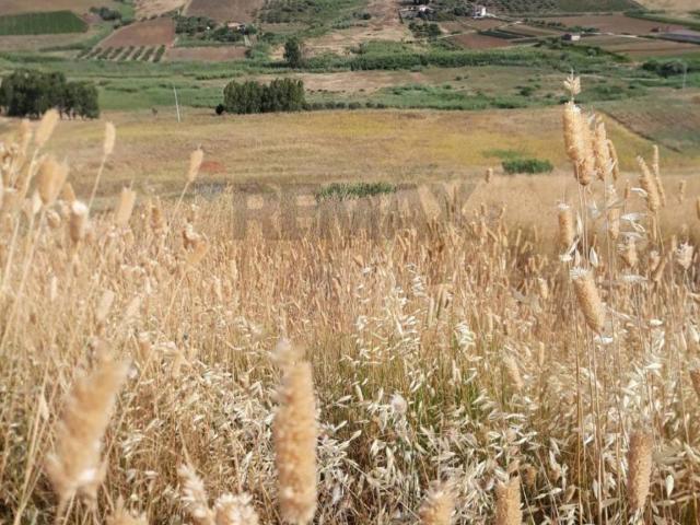 Terreno in vendita a Calatafimi Segesta TP