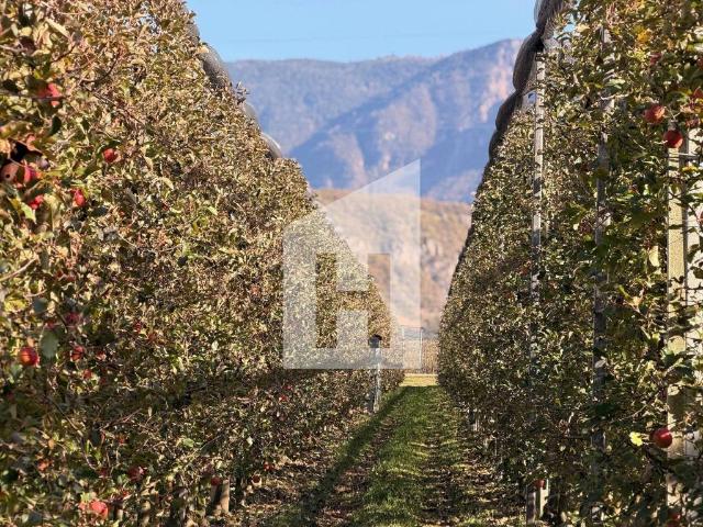 Terreno in vendita a Caldaro sulla Strada del Vino BZ