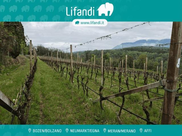 Terreno in vendita a Caldaro sulla Strada del Vino BZ