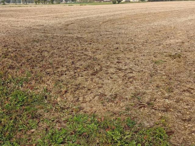 Terreno in vendita a Caldogno VI