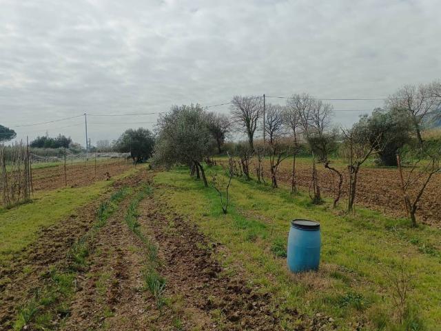 Terreno in vendita a Calenzano FI